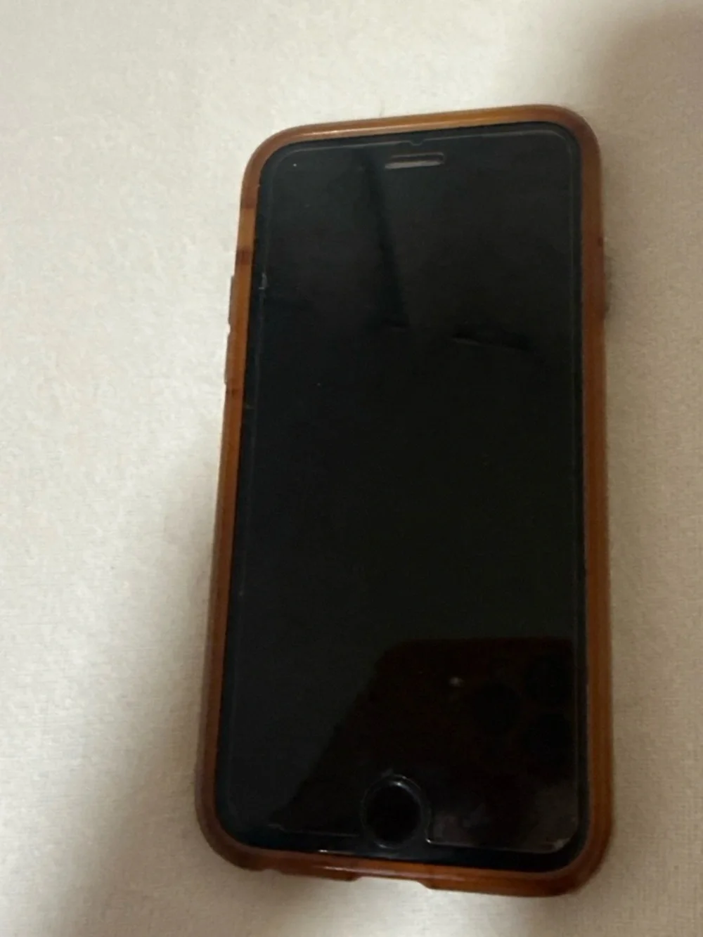 Apple iPhone 6s in Space Gray with Clear Case